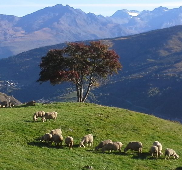 web_hotel_cret_rond_valloire_0002_balais web_hotel_cret_rond_valloire_0002_balais